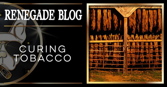 Curing Tobacco Title Image