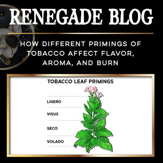 Tobacco Primings Blog Title
