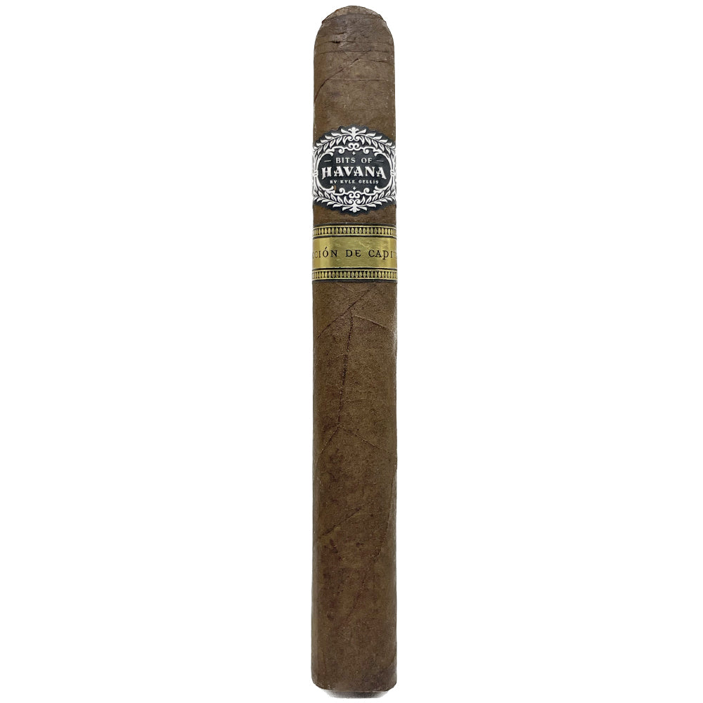 Premium Havana cigar with decorative label isolated on a white background.