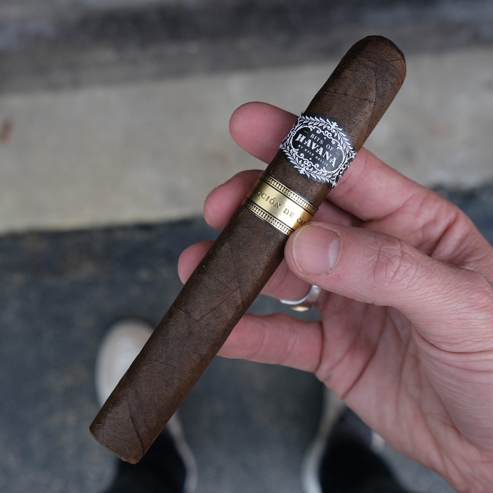 Hand holding a premium cigar with a vintage label, close-up shot.