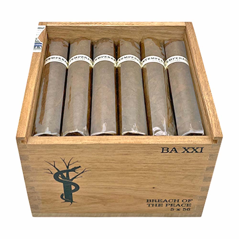 RoMa Craft Intemperance BA XXI
