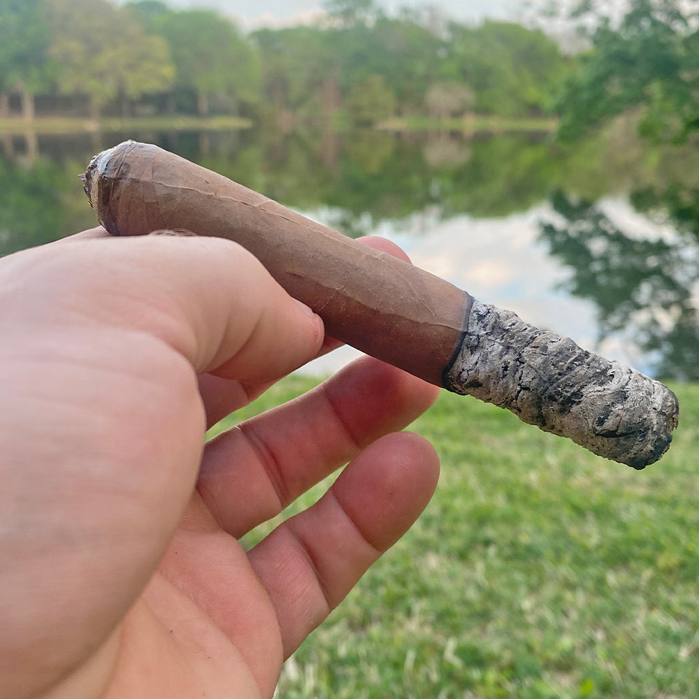 Renegade NDA Series: The Plug