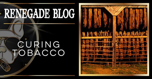 Curing Tobacco Title Image 