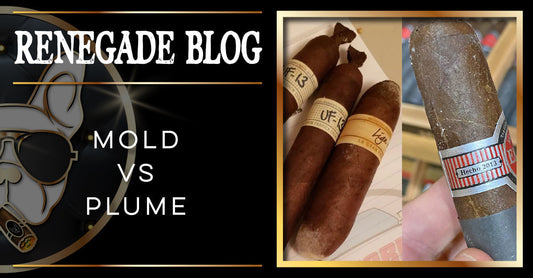mold vs plume