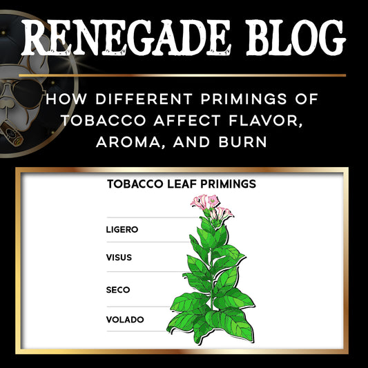 Tobacco Primings Blog Title 