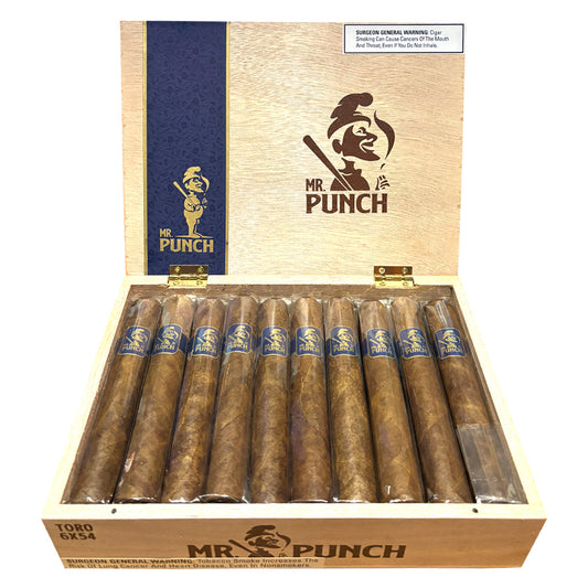 Punch Mr. Punch